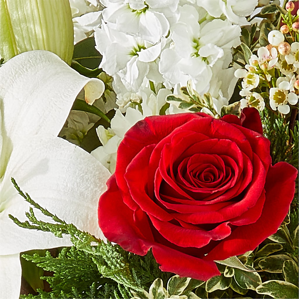 Twinkle Lights Bouquet – VINE & IVY FLOWERS, Suffield CT