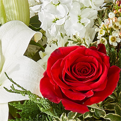 Twinkle Lights Bouquet – VINE & IVY FLOWERS, Suffield CT