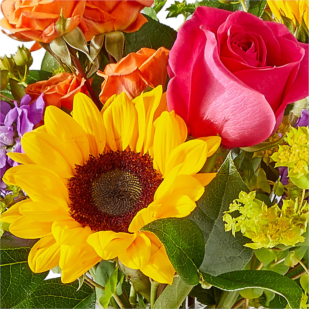 Vibrant Greetings Bouquet – VINE & IVY FLOWERS, Suffield CT