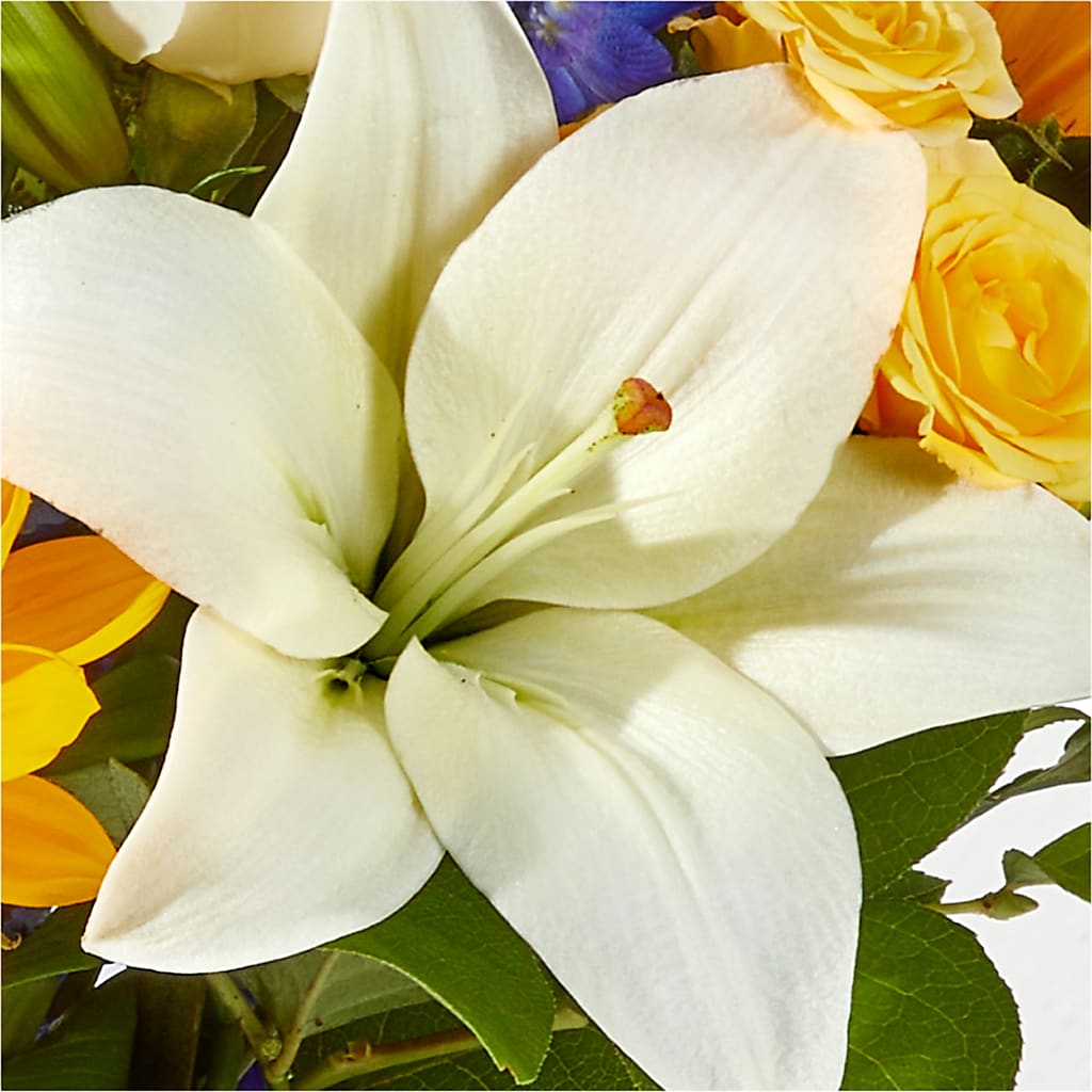Wonderfully Sunny Bouquet – VINE & IVY FLOWERS, Suffield CT