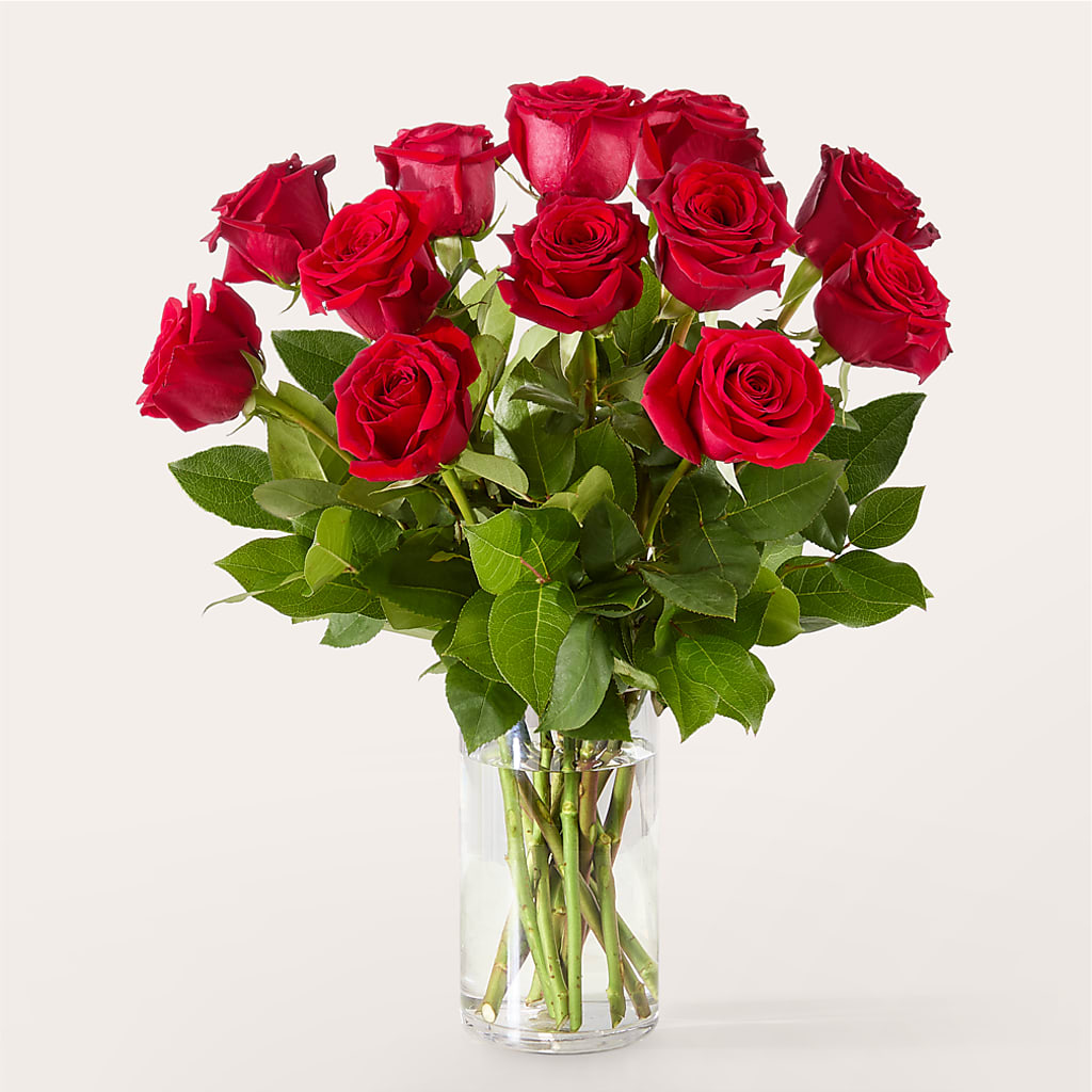 The One Red Rose Bouquet – VINE & IVY FLOWERS, Suffield CT
