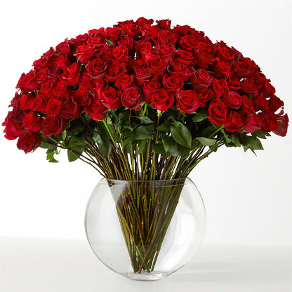 The Idealist – VINE & IVY FLOWERS, Suffield CT