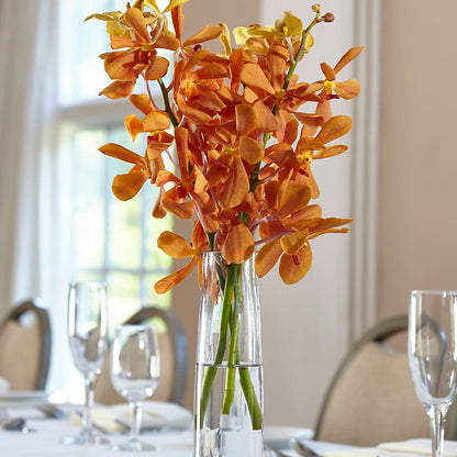 Orange Mokara Bud Vase – VINE & IVY FLOWERS, Suffield CT