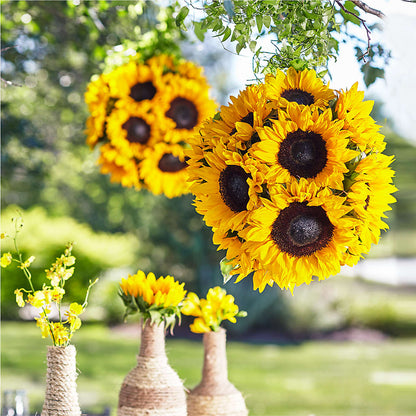 Sublime Garden Hanging Arrangement – VINE & IVY FLOWERS, Suffield CT