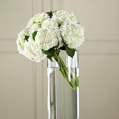 White Hydrangea Hand-Tied Bouquet – VINE & IVY FLOWERS, Suffield CT