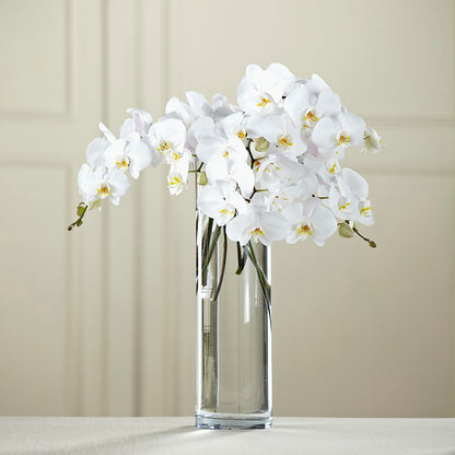 White Phalaenopsis Bouquet – VINE & IVY FLOWERS, Suffield CT