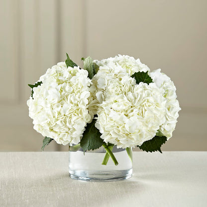 White Hydrangea Bouquet – VINE & IVY FLOWERS, Suffield CT