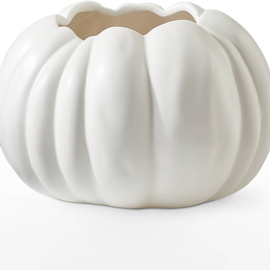 Pumpkin to Talk About Bouquet – VINE & IVY FLOWERS, Suffield CT